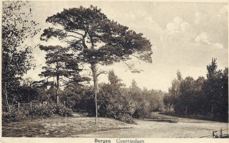 HVB FO 00632  Guurtjeslaan en Boslaan (1)